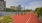 Walking Track