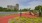 Walking Track