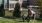 Dog Park